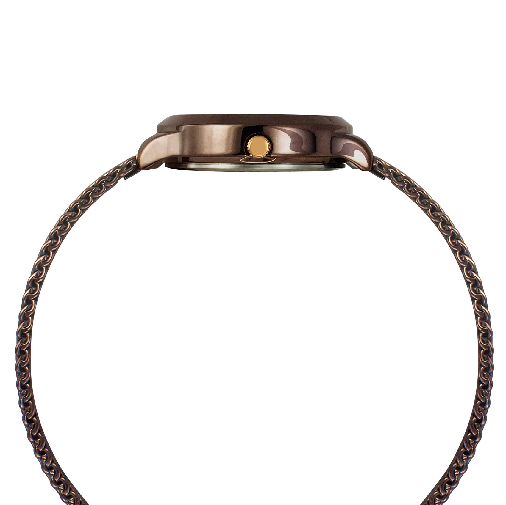 Helix By Timex Brown Round Analog Stainless Steel Watch Women -TW022HL27